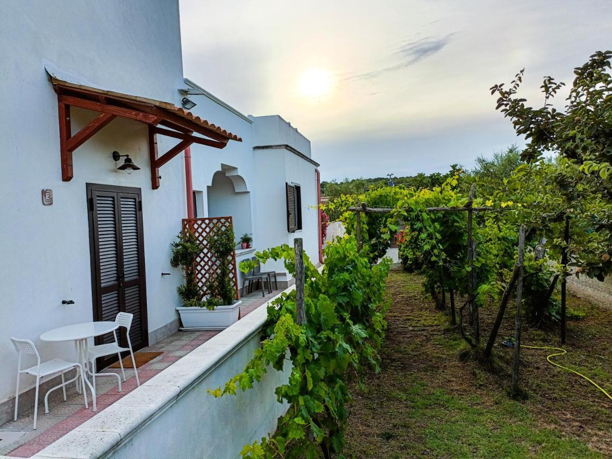 Il Giunco B&B Vieste Ngoại thất bức ảnh