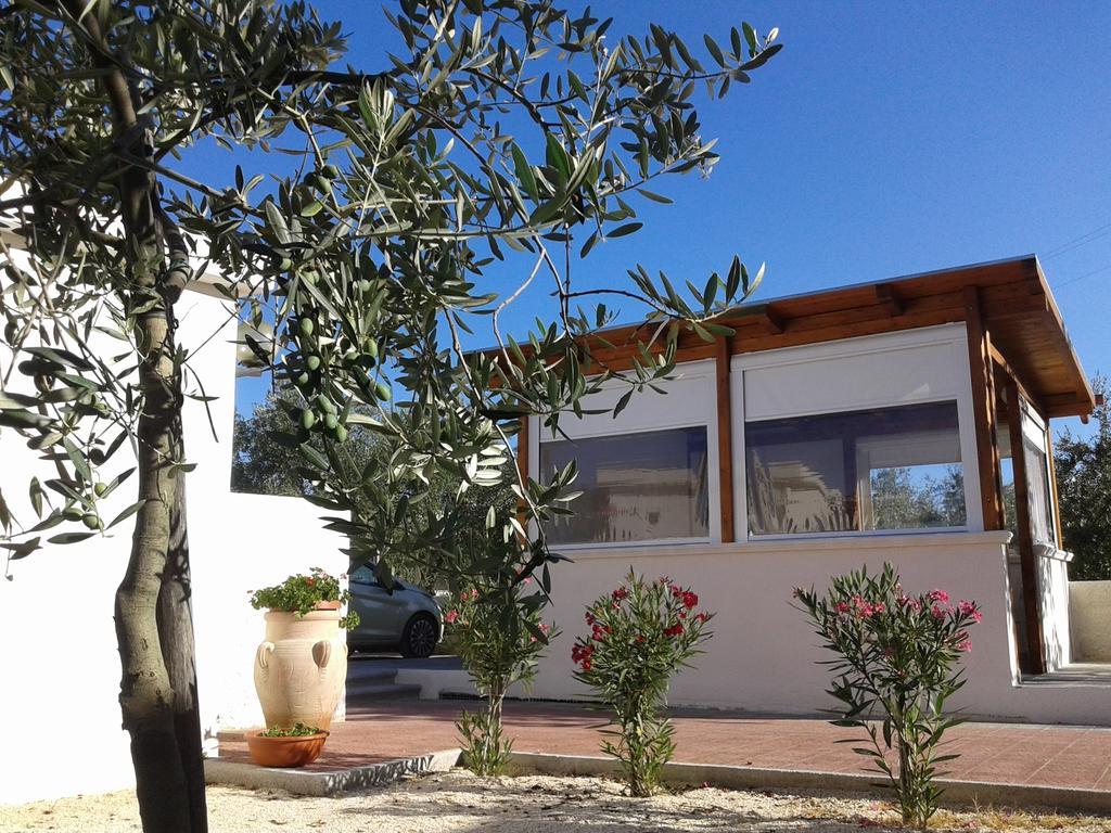 Il Giunco B&B Vieste Ngoại thất bức ảnh