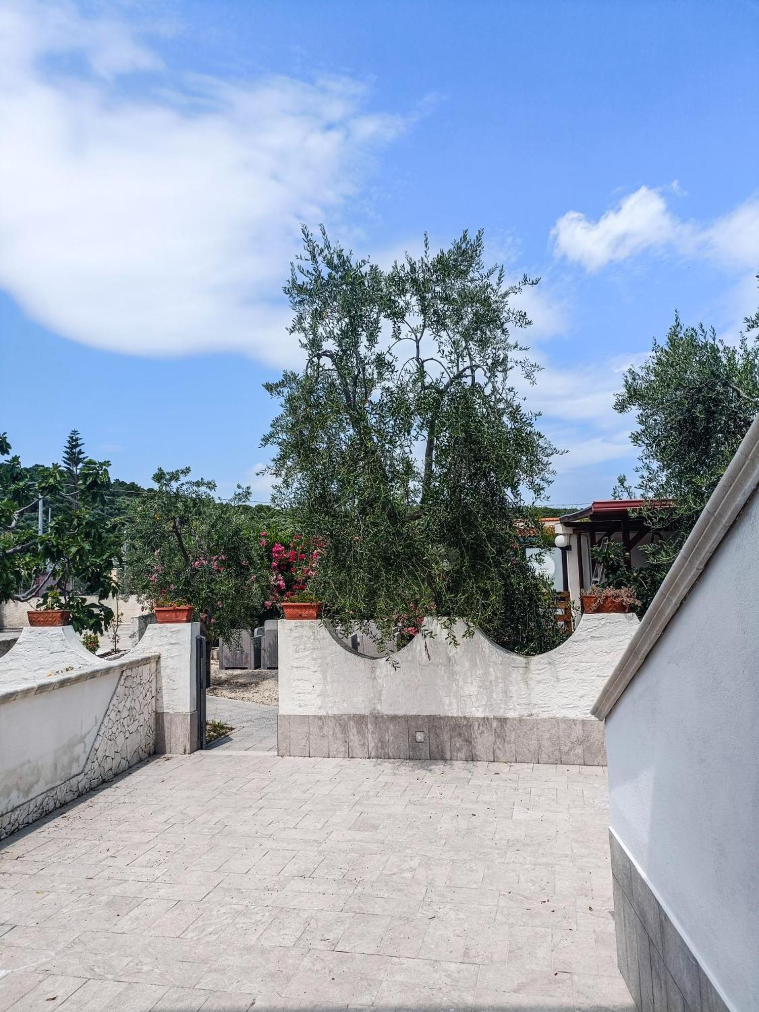 Il Giunco B&B Vieste Ngoại thất bức ảnh