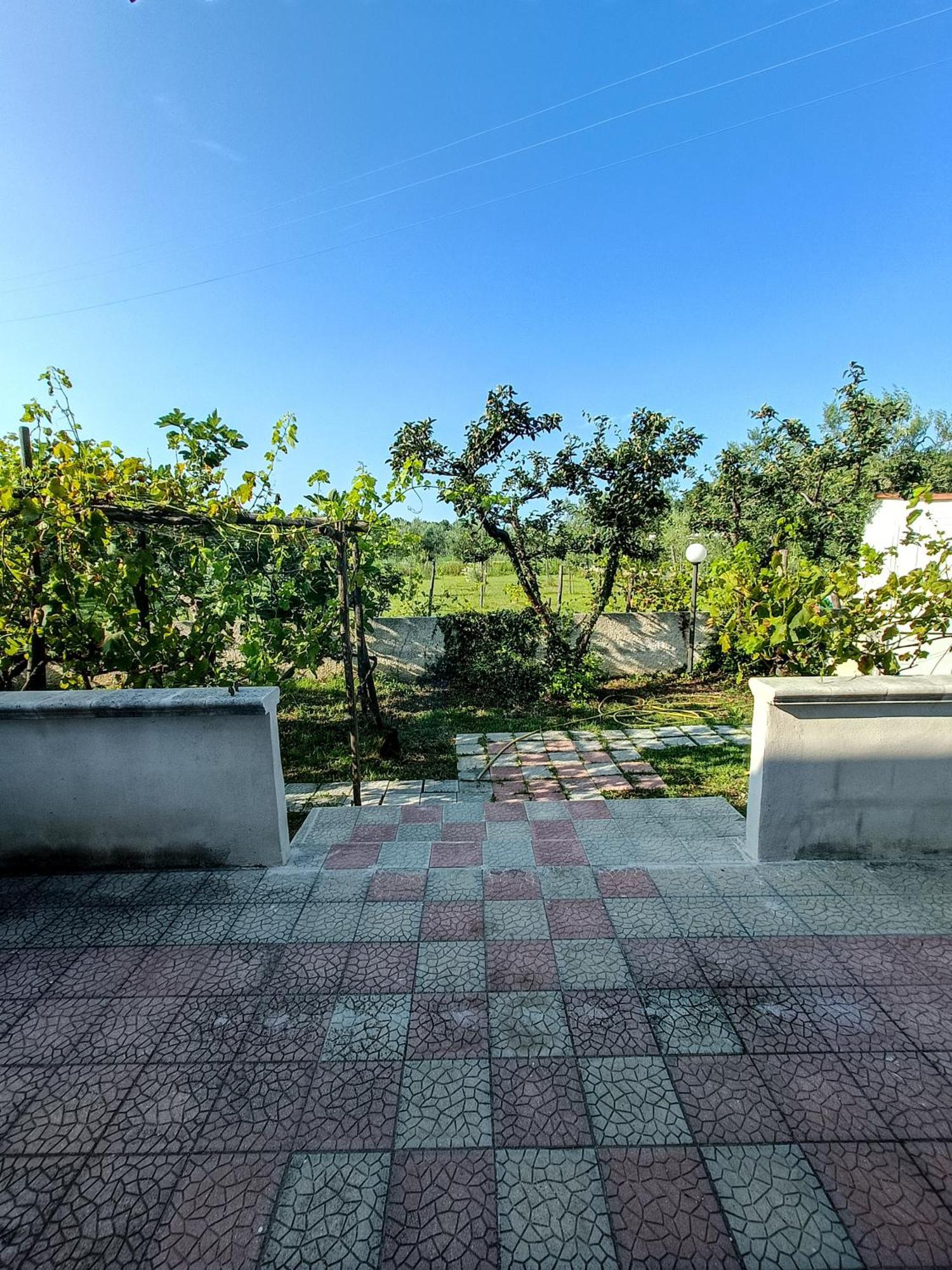 Il Giunco B&B Vieste Phòng bức ảnh