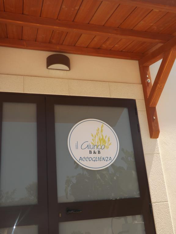Il Giunco B&B Vieste Ngoại thất bức ảnh